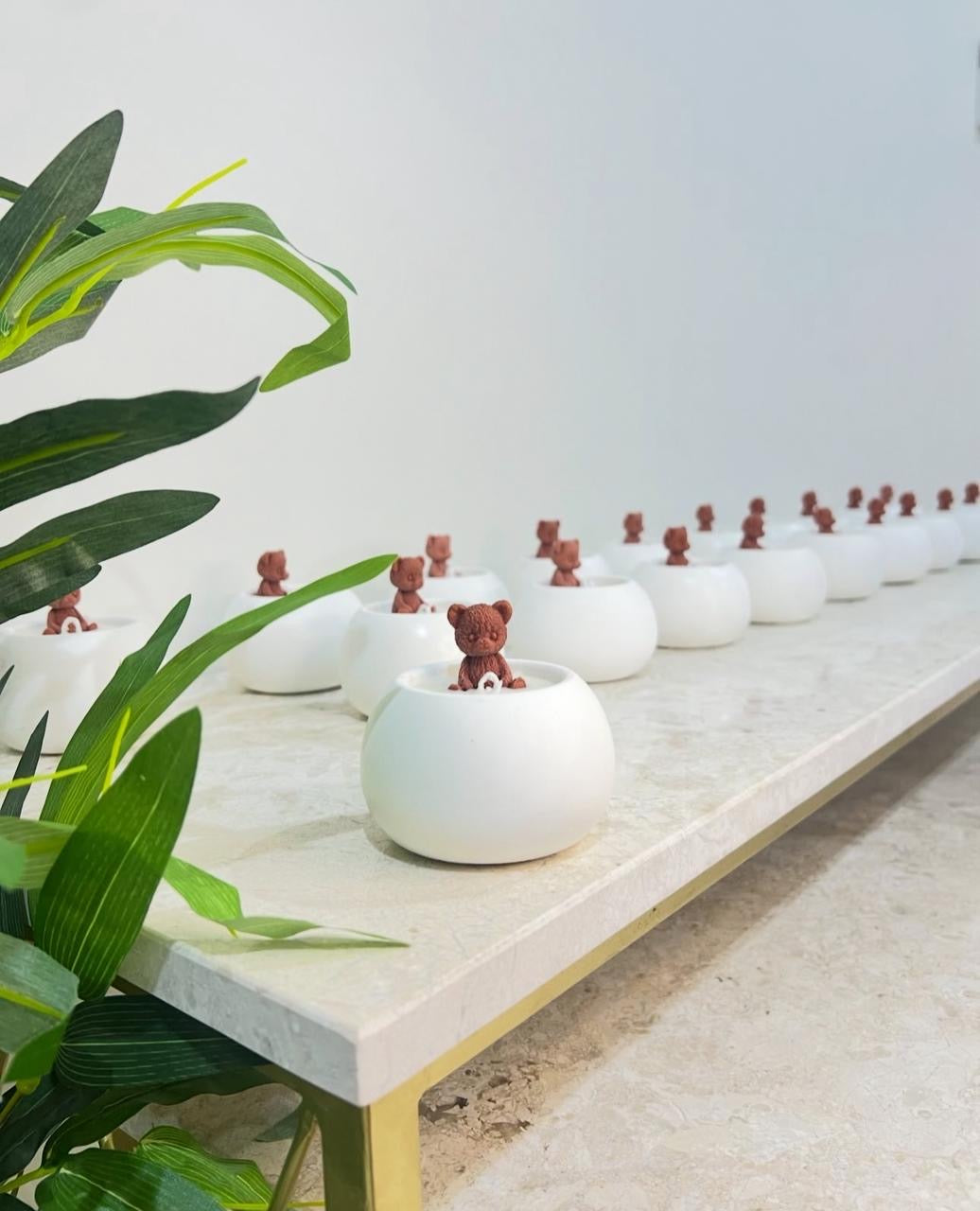 توزيعات بيبي زايد 🐻